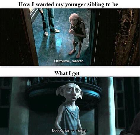 Top 21 Random Funny Memes Clean For Today Harry Potter Memes