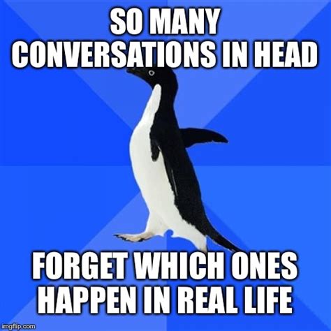 socially awkward penguin memes imgflip