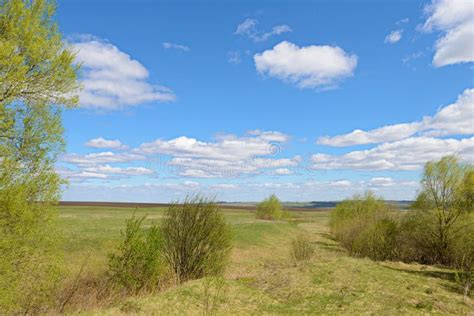 Spring Landscape With A Wide Field Forests Blue Sky Stock Image