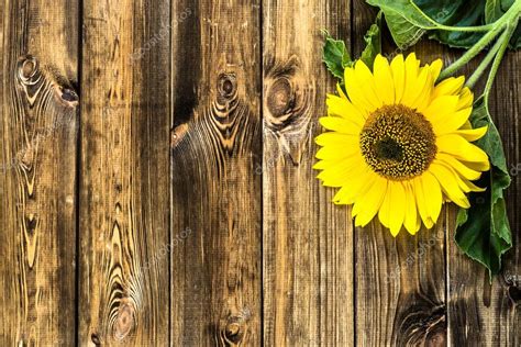 Rustic wood frames s, brown wooden frame illustration transparent background png clipart. Sunflower on rustic wooden background. Flowers backgrounds ...