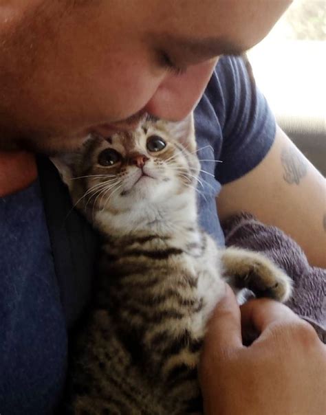 You Have To See This Kittens Face When He Gets A Forever Home Happy