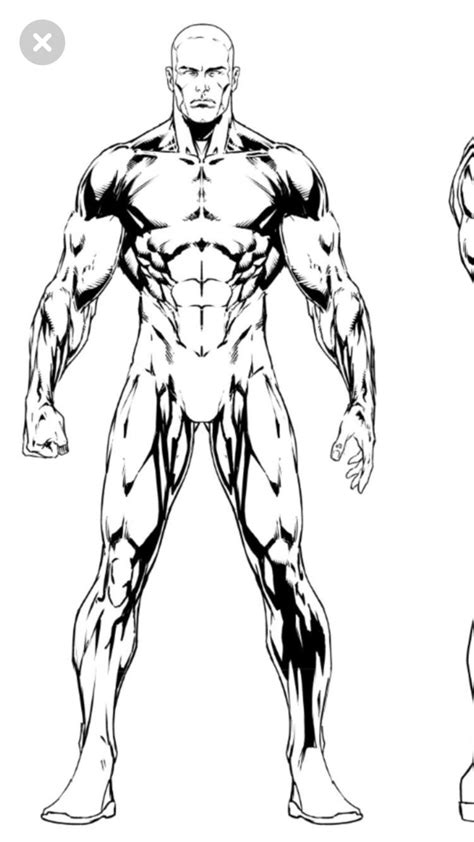 Muscular Body Drawing Online Sale Up To 57 Off