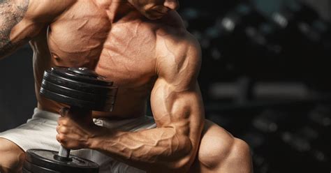 The Top 5 Exercises For Increasing Forearm Mass Muscle And Strength
