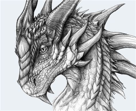 Free Dragon Art Pictures 21 Realistic Dragon Drawings Free