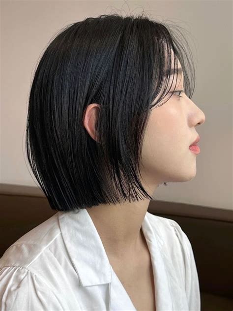 Korean Brunt Bob With Curtain Bangs Girls Short Haircuts Haircuts For