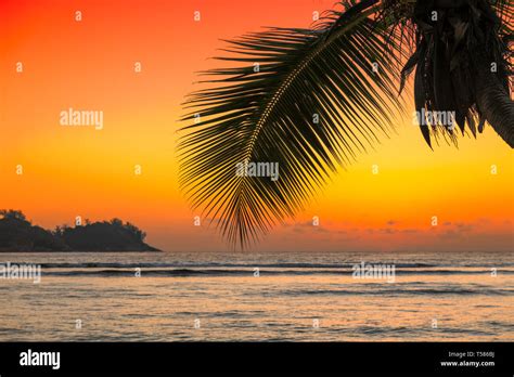 Sunset Over The Sea With Coco Palm On The Beach In Caribbean Island