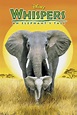 Whispers: An Elephant's Tale | DisneyLife PH