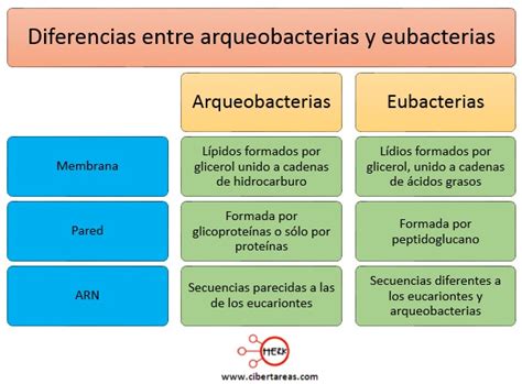 Arqueobacterias Y Eubacterias Pdf The Best Porn Website