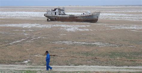 Once Left For Dead The Aral Sea Is Now Brimming With Life Thanks To