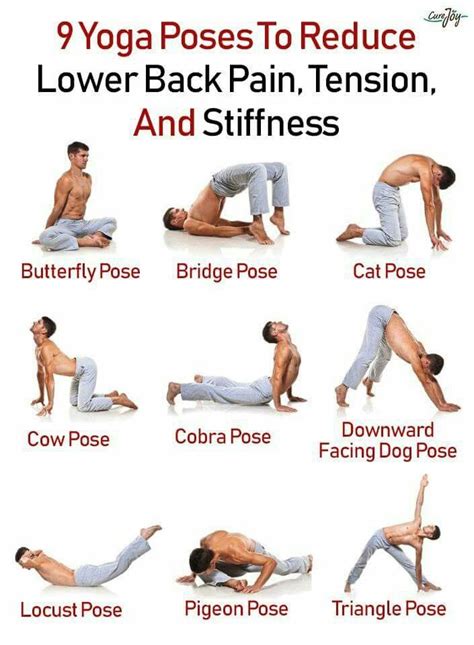 Easy Yoga Exercises For Back Pain Yoga Poses