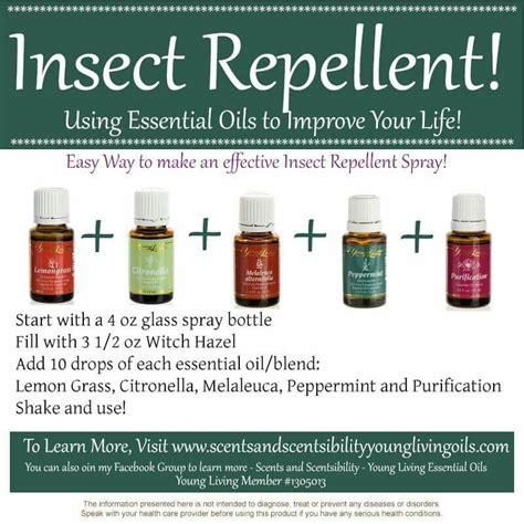 Insect Repellent Essential Oil Spray Young Living Oils