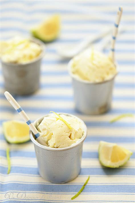 Quels sucres utiliser pour faire sa glace sans sorbetière ? Glace au citron et au lait concentré (sans sorbetière ...