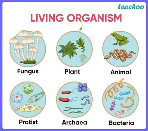 Introduction Various Life Processes Around Us Biology Class