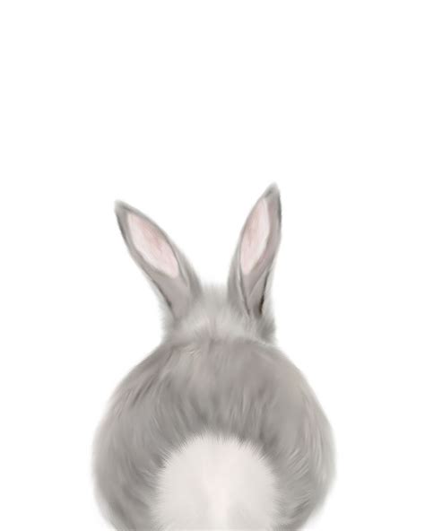 Bunny Butt Art And Frame Adelaide