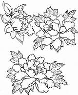 Peony Embroidery Patterns Coloring Flower Designs Tattoo Peonies Drawing Painting Drawings рисунки пионов Printable Flowers Fabric Tracing рисунок Hand Silk sketch template