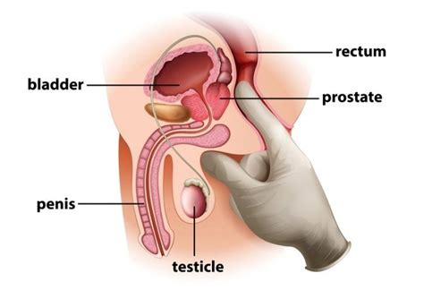 Ways To Massage The Prostate