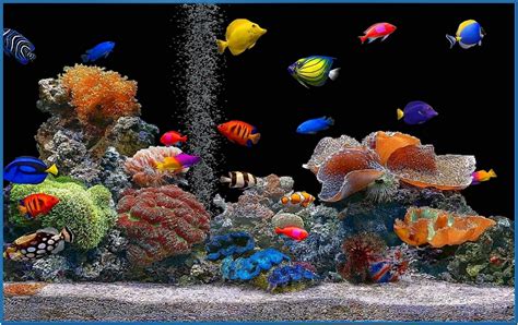 Essential screen savers recommended by softonic. Hdtv screensaver aquarium - Download free