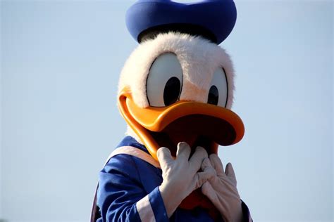 Disneyland Donald Duck
