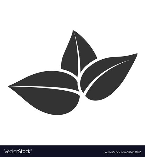 Stylized Silhouette Of Tea Tree Spring Leaf Vector Image