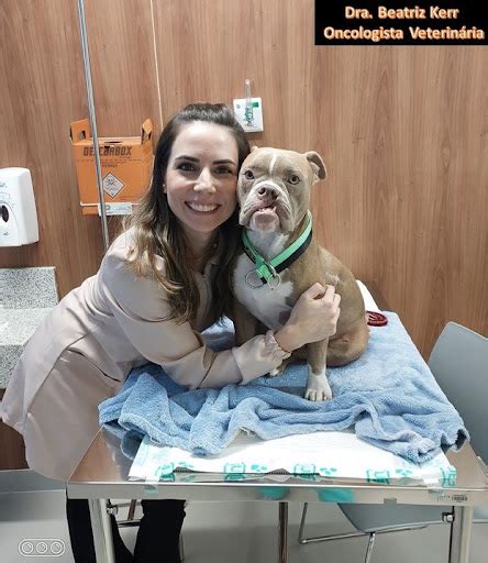 Veros Hospital Veterinário São Paulo SP Vet Clínicas BR