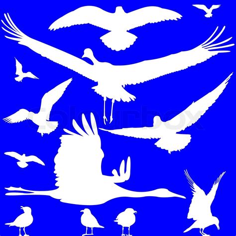 White Birds Silhouettes Over Blue Stock Vector Colourbox