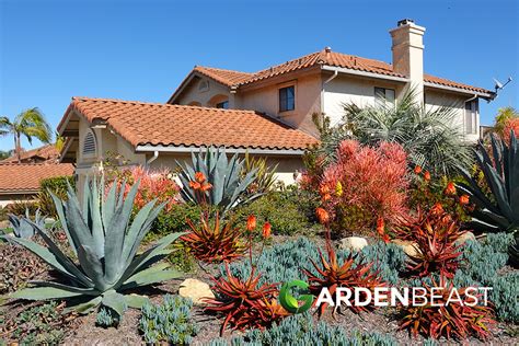 Desert Landscaping Ideas For Your Backyard Complete Guide