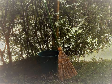 Broom Nature Outdoor Free Stock Photo Public Domain Pictures