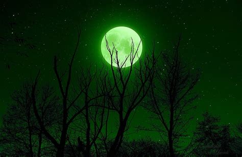 1080p Free Download Fullmoon Moon Sky Green Stars Trees Night