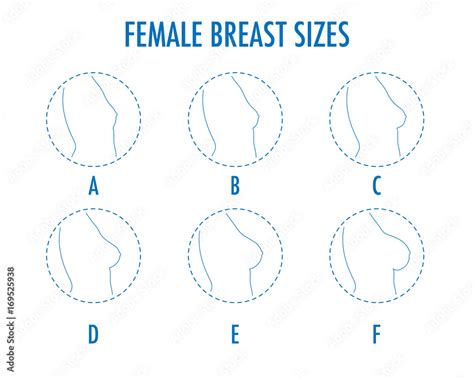 vecteur stock set of round line icons of different female breast size body side view various