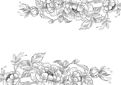 Hand Drawn Decorative Floral Borders 1241641 Vector Art At Vecteezy