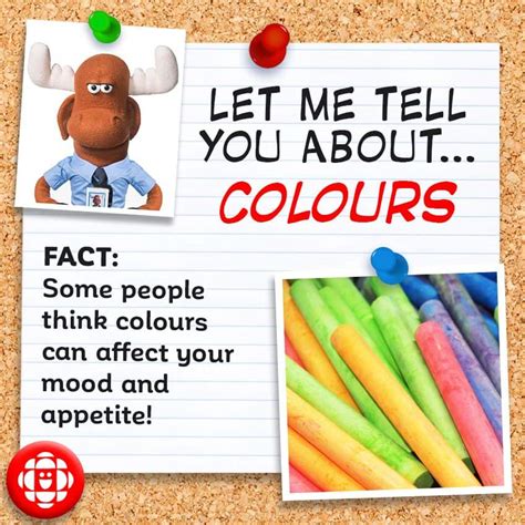 Nun wisst ihr etwas mehr über mich und konntet hoffentlich etwas schmunzeln dabei, als ich mir den beitrag nochmal durchlas musste ich wirklich kurz lachen. 5 fun facts about the world of colour | Explore | Awesome ...