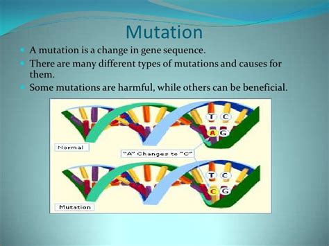 Mutation Evolution And Natural Selection