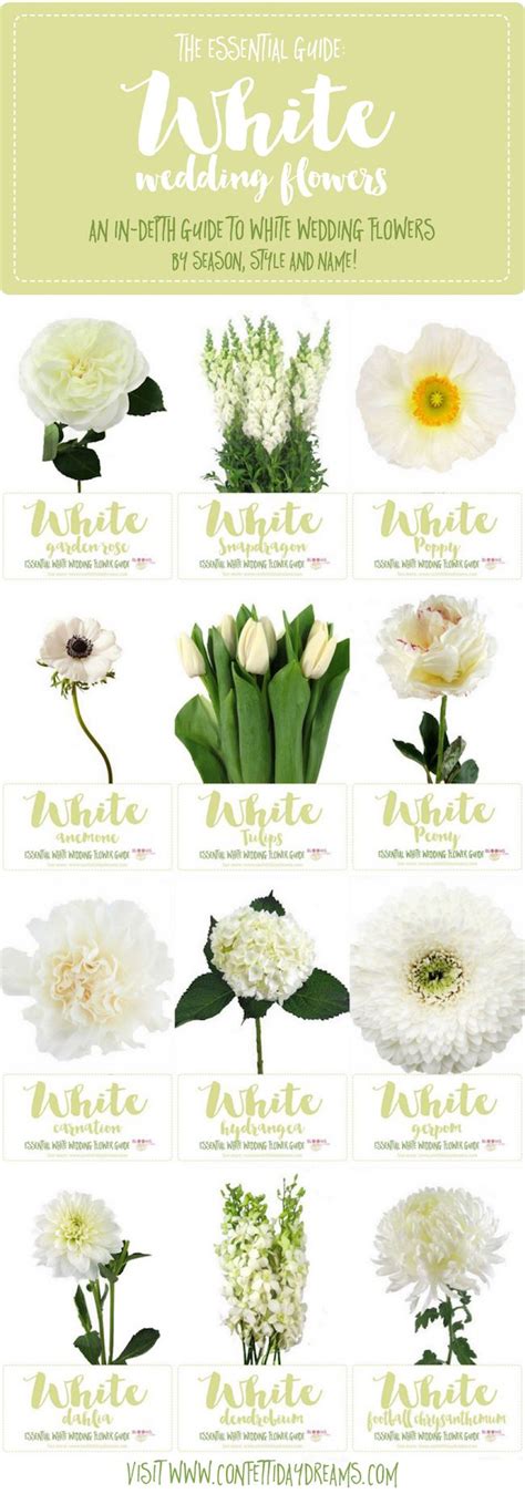 Favorite Wedding Flowers With Names