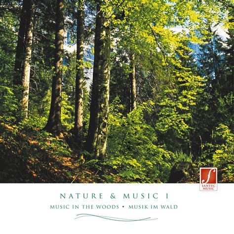 We do not convert video like ytmp3, flvto, mp3 juice, etc. Nature & Music I | Natural Sounds of the Forest with Relaxation Music