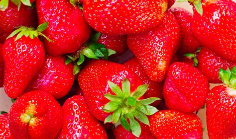 Now say, in our bible lesson today jesus taught us that we are like trees. Bearing Good Fruit - Zoro International Ministries