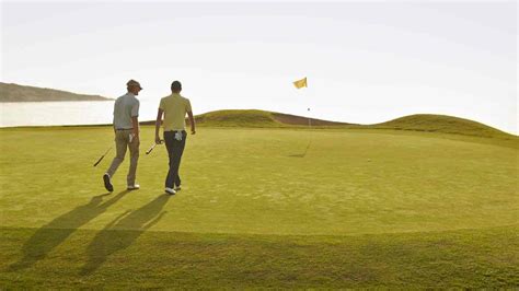 Rules Guy Can You Ask Your Partner Not To Mark His Ball On The Green