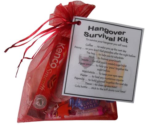 Hangover Survival Kit T Mini Novelty T Hangover Survival Kit