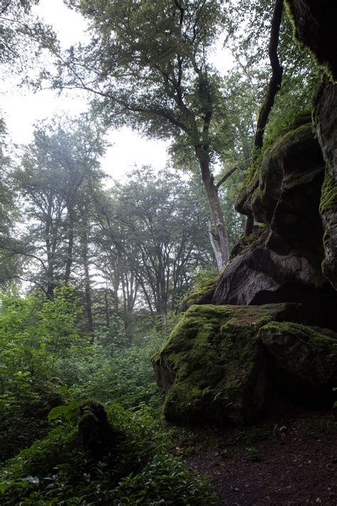 Forest Rocks Boulders By Isostock On Deviantart