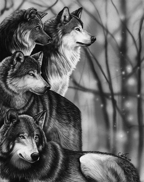 Wolf Pack Art Print By Charlie Toy Wolf Drawing Wolf Pictures Wolf