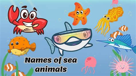 Sea Animals Learn Sea Animals Names In English Kids Vocabulary
