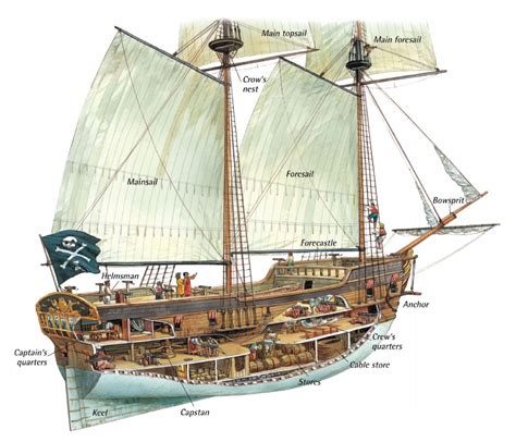 A Cutaway Illustration Of A Pirate Ship A Brigantine Pirate Ship