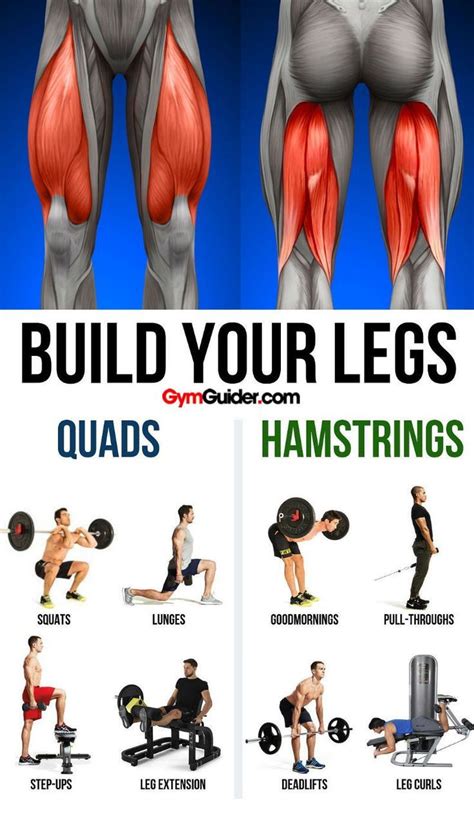 Build Bulging Bigger Legs Fast With This Workout Gym