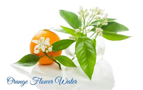 10 Orange Blossom Water Substitutes Orange Flower Water
