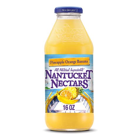 Nantucket Nectars Pineapple Orange Banana Juice Drink 16 Fl Oz