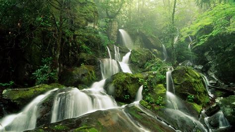 Waterfall Nature Wallpapers Hd Water Fall In Jungle High Res