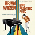 Brian Wilson - Long Promised Road Lyrics and Tracklist | Genius