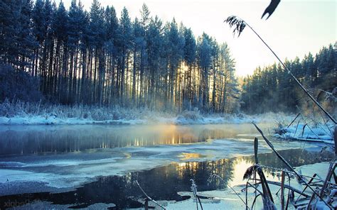 Winter Landscape Nature Wallpapers Hd Desktop And Mobile Backgrounds