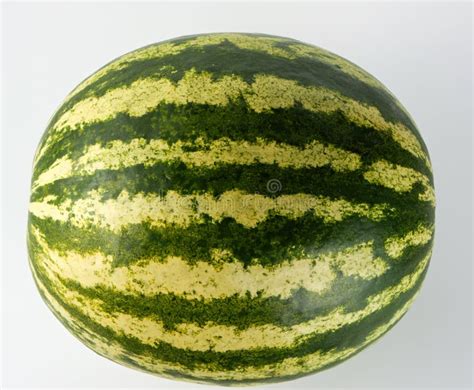 Green Striped Whole Round Watermelon Isolated On White Background Stock