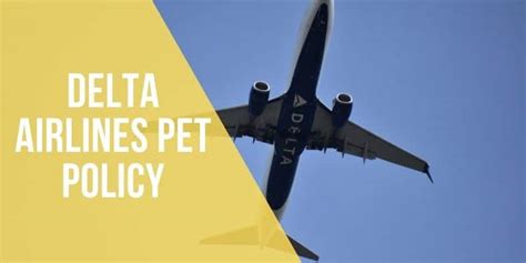 Delta Airlines Pet Policy 2024 Does Delta Allow Pets