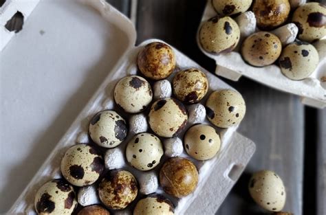 Easy Pickled Quail Eggs Recipe A Farm Girl In The Making